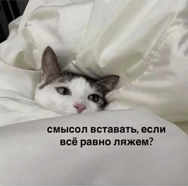 Смешные скрины из соцсетей #124 Смешные скрины из соцсетей #124