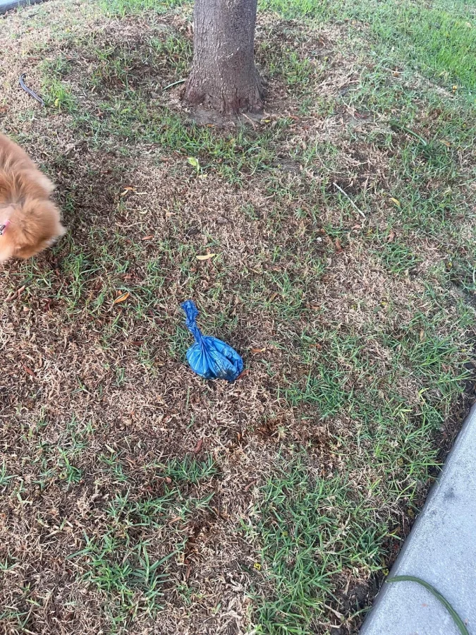 30 примеров вопиющего неуважения к другим людям 30 примеров вопиющего неуважения к другим людям