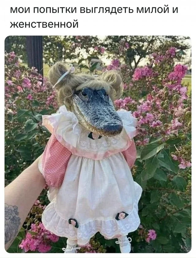 Получается мемы подъехали