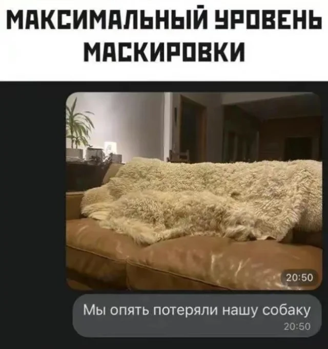 Прикольные мемы для настроения!