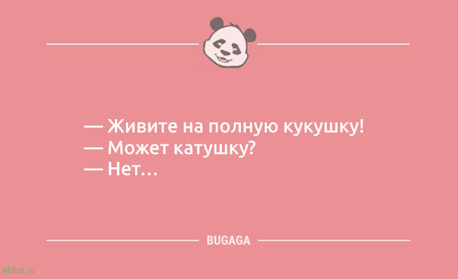 Анекдоты в пятницу: «Только на шестой день отдыха в Египте…» 