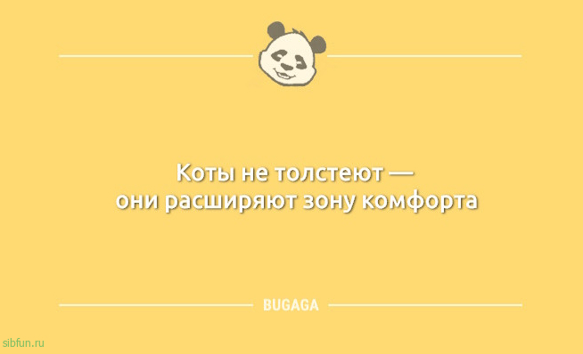 Пост с анекдотами: «Коты не толстеют…» 