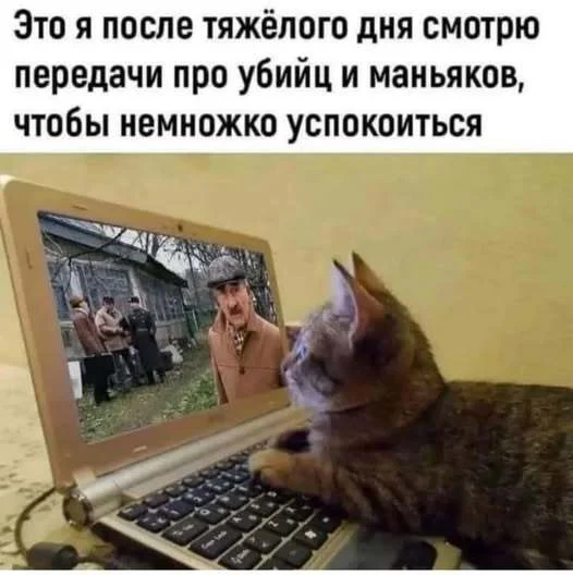 Мемы для деградации