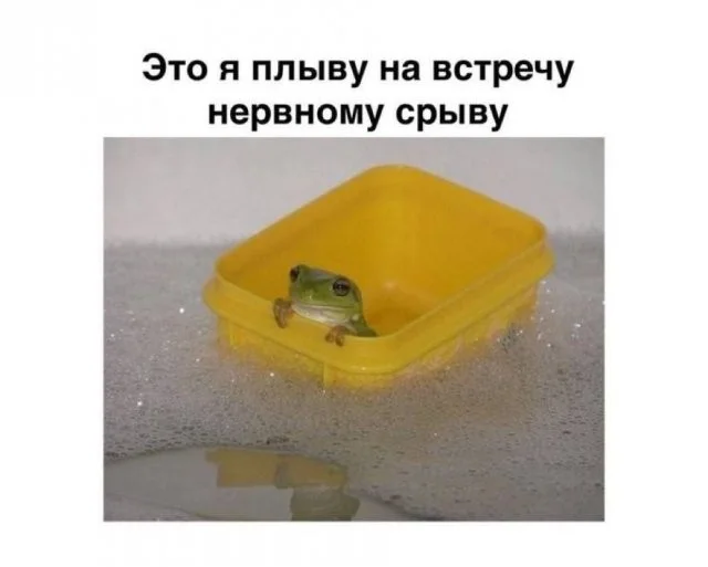 Смешные скрины из соцсетей #124 Смешные скрины из соцсетей #124