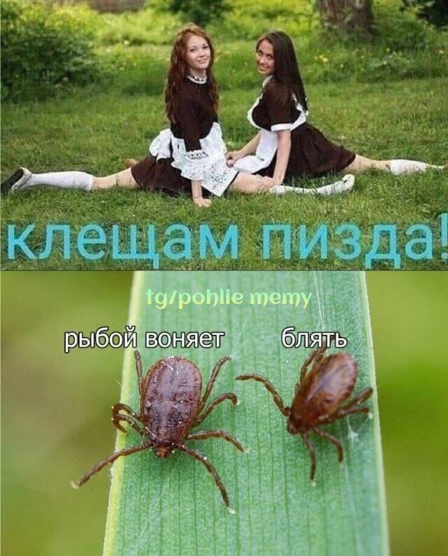 Нестандартный юмор #495 Нестандартный юмор #495