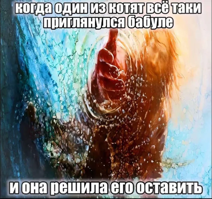 Пошлые мемы и чёрный юмор 18+ | Подборка #8 Пошлые мемы и чёрный юмор 18+ | Подборка #8