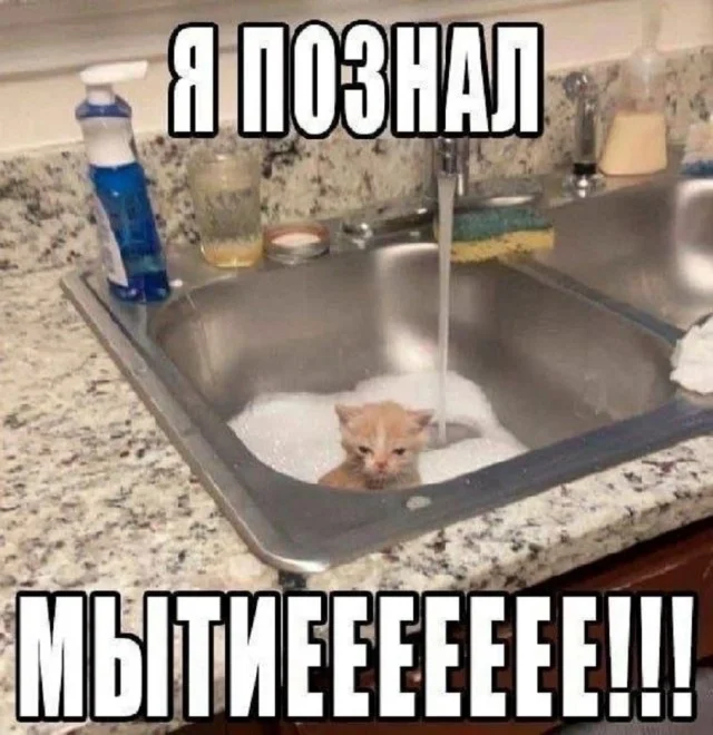 Прикольные мемы для настроения!