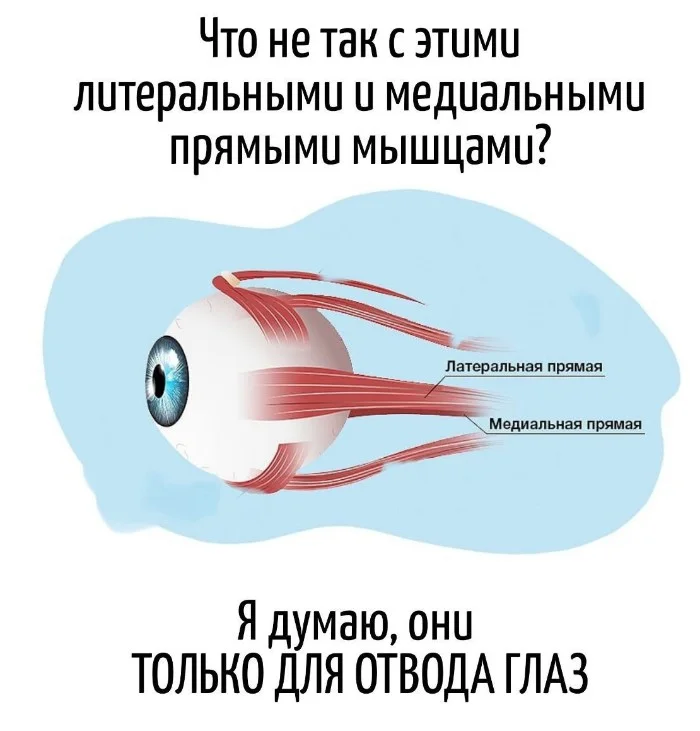 Игра слов – каламбуры, словесный юмор и прикольные картинки #123 Игра слов – каламбуры, словесный юмор и прикольные картинки #123