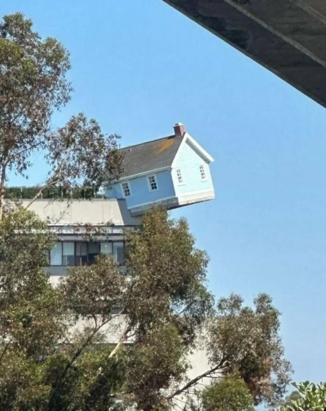 Мемы из интернетов