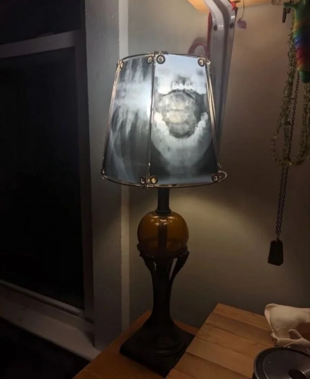 Смешной и карательный дизайн