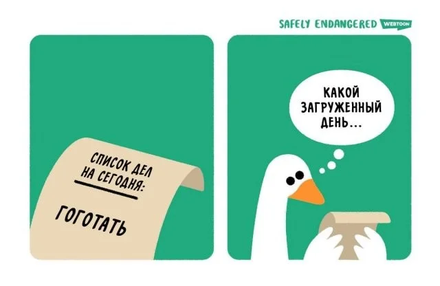 Смешные скрины из соцсетей #118