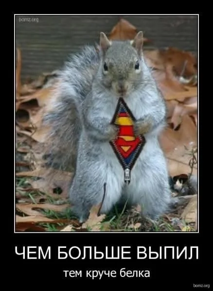 Отличные мемы в ленту