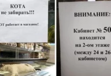 15 объявлений от людей с необычным чувством юмора и креативом