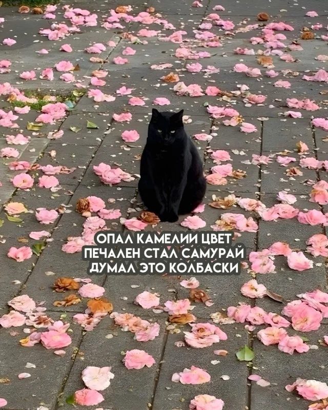 Деграднем с мемами?