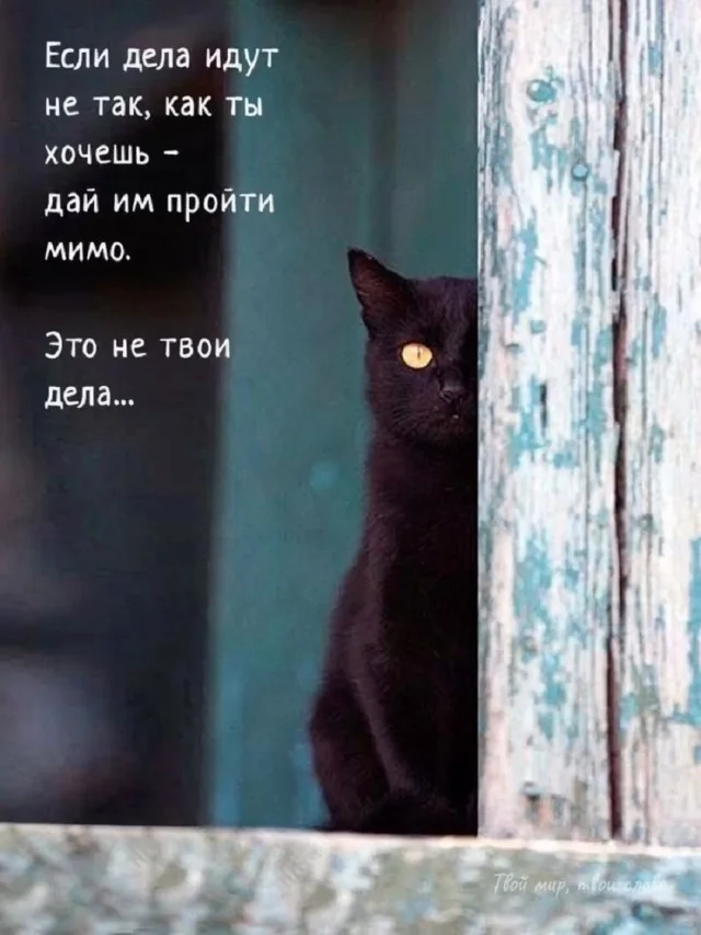 Прикольные мемы для настроения!