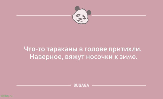 Анекдоты дня: «Что-то тараканы в голове притихли…» 