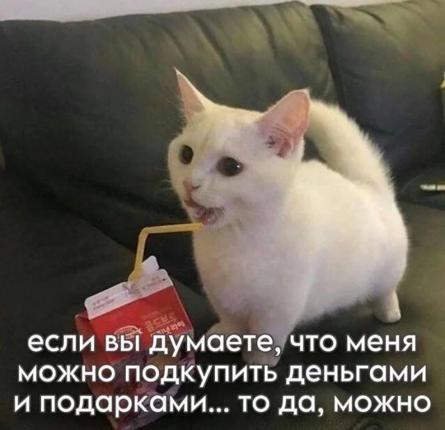 Смешные скрины из соцсетей #119 Смешные скрины из соцсетей #119