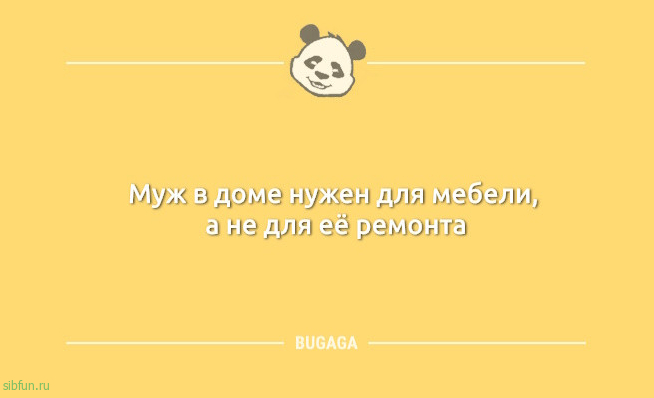 Пост с анекдотами: «Коты не толстеют…» 