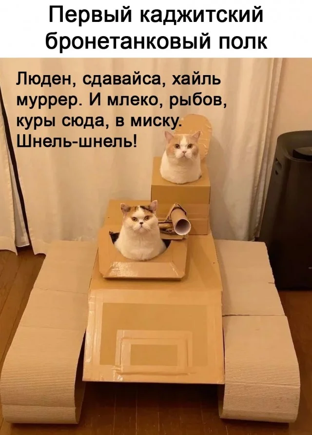 Веселые мемы