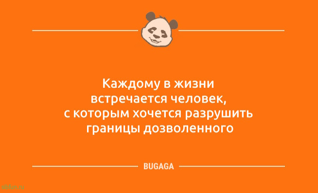 Анекдоты дня: «Вчера занял у соседа перфоратор…» Анекдоты дня: «Вчера занял у соседа перфоратор…»