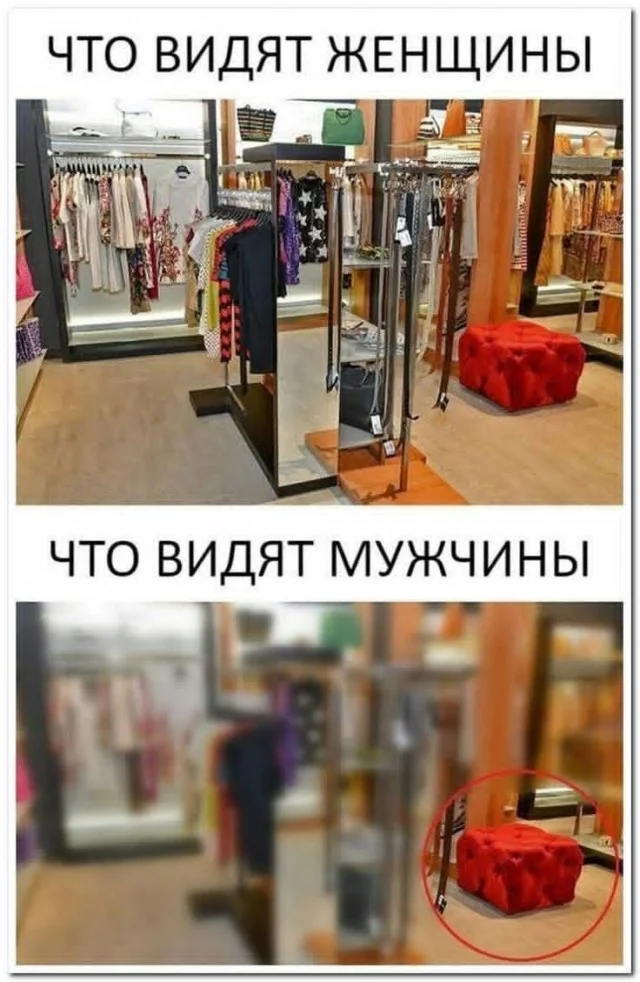 Ежедневки: Мемы и приколы #2