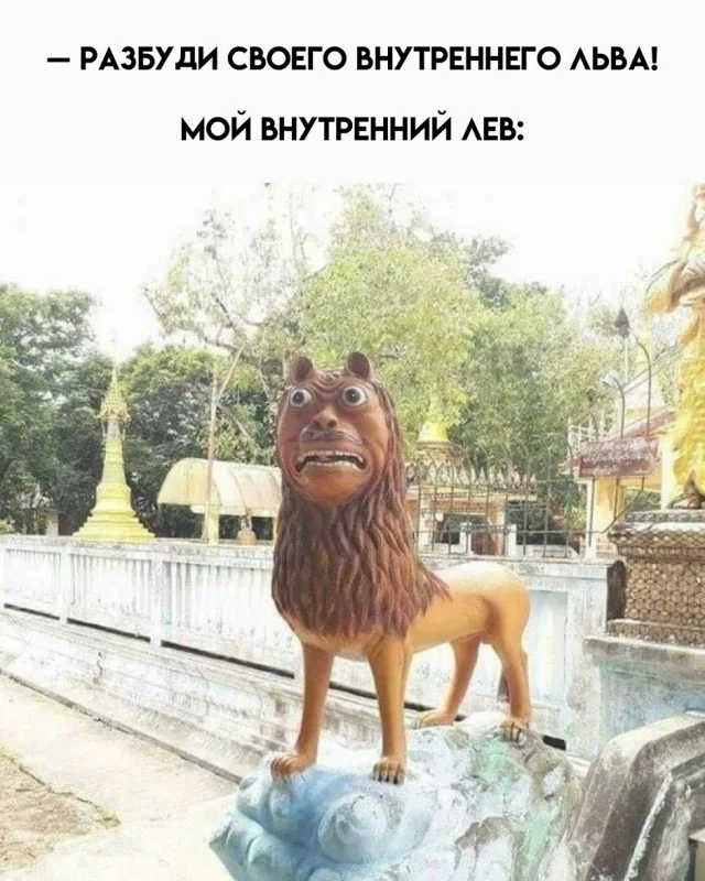 Классные мемы