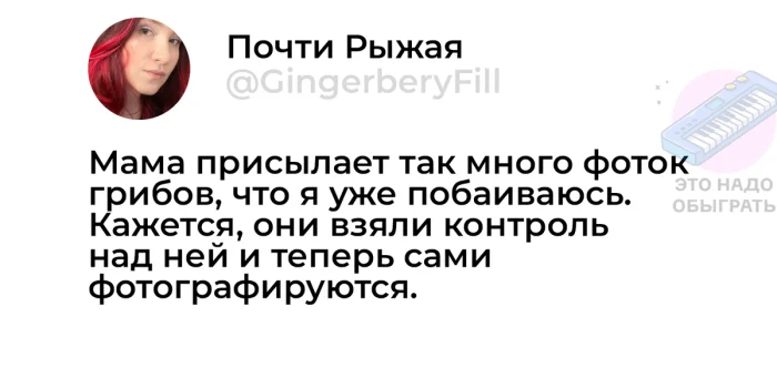 Осенний лес в красках: подборка тёплых и атмосферных фотографий