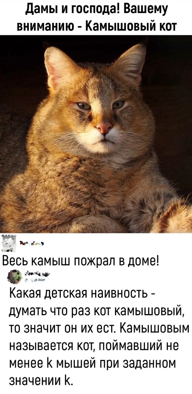 Лучшие мемы