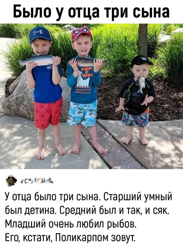 Лучшие мемы