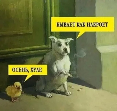 Подборка мемов #1