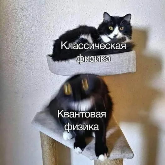 Мемы пропитанные деградацией