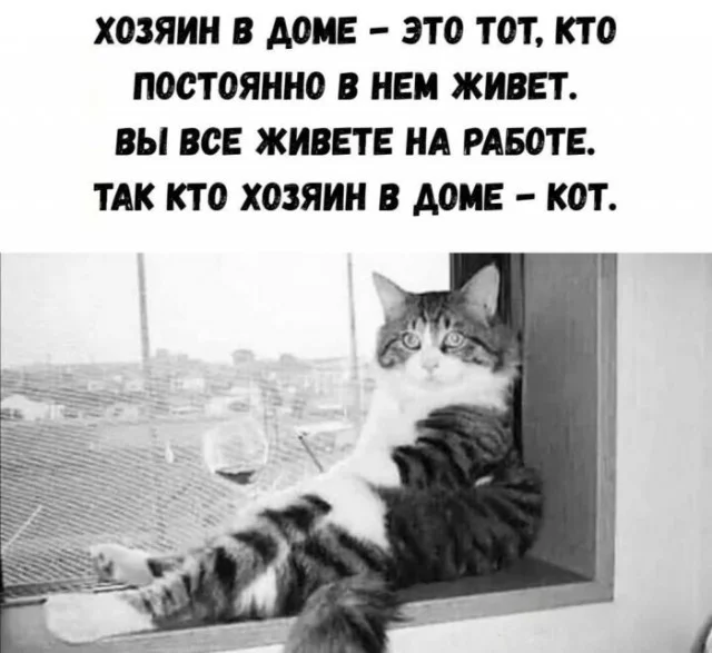 Деградацию в мемах заказывали?