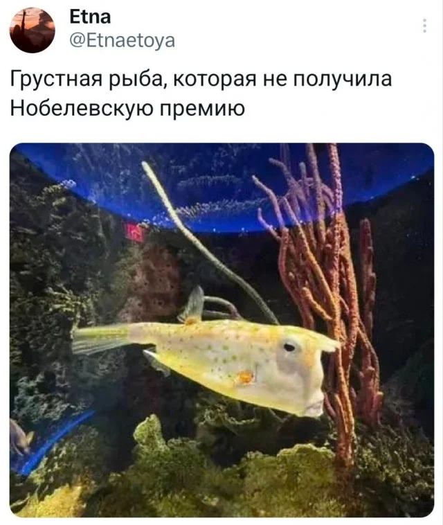 Мема-градация