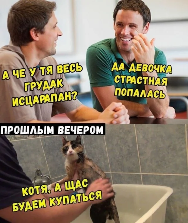 Мемы для деградации