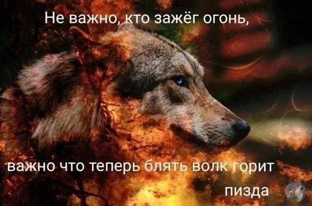 Пошлые мемы и чёрный юмор 18+ | Подборка #20