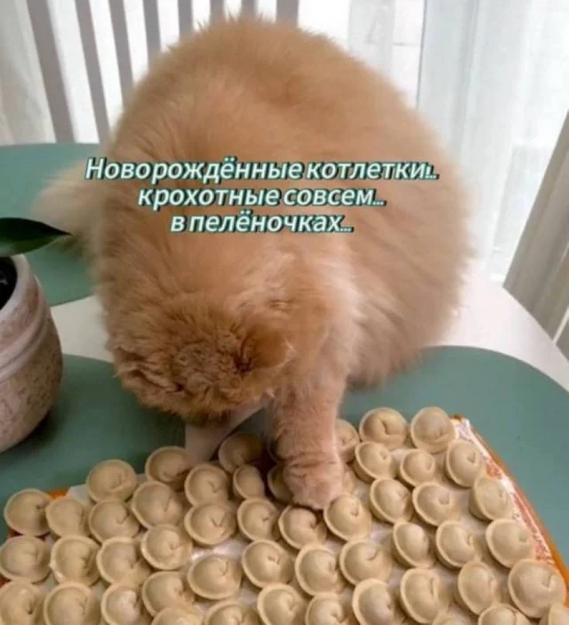 Деградация в баянах