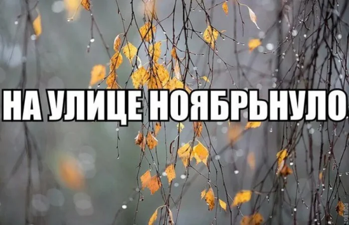 Осенний юмор: подборка шуток Осенний юмор: подборка шуток