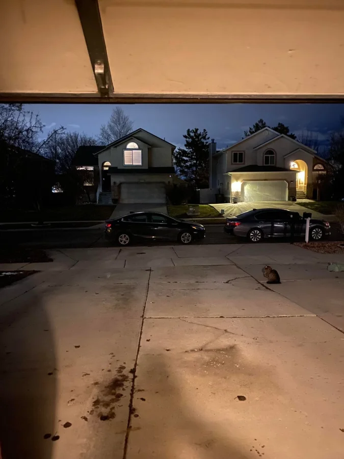 30 людей, чья безрассудность поразила всех вокруг 30 людей, чья безрассудность поразила всех вокруг