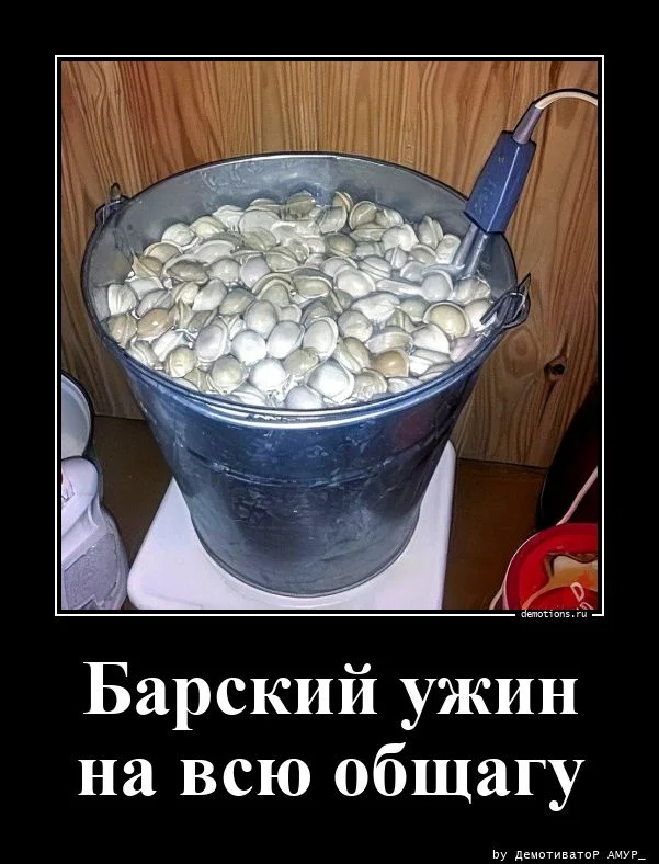 Свежая порция демотиваторов — иронично, жизненно и с сарказмом