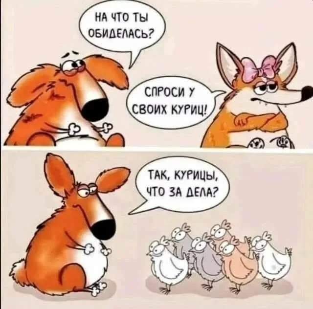 Мемы хорошего настроения