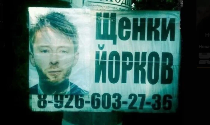 17 смешных реклам и вывесок с участием зарубежных звёзд