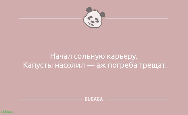 Анекдоты свежие: «По лукавым искоркам в глазах…» 