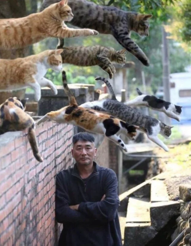 Заряжаем юмор с мемами