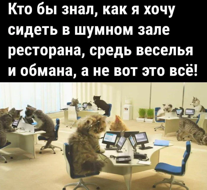 Юмор. Наверное.