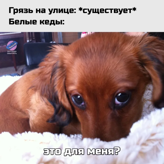 Осенний юмор: подборка шуток Осенний юмор: подборка шуток