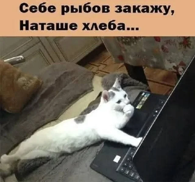 Ну прям свежие мемы