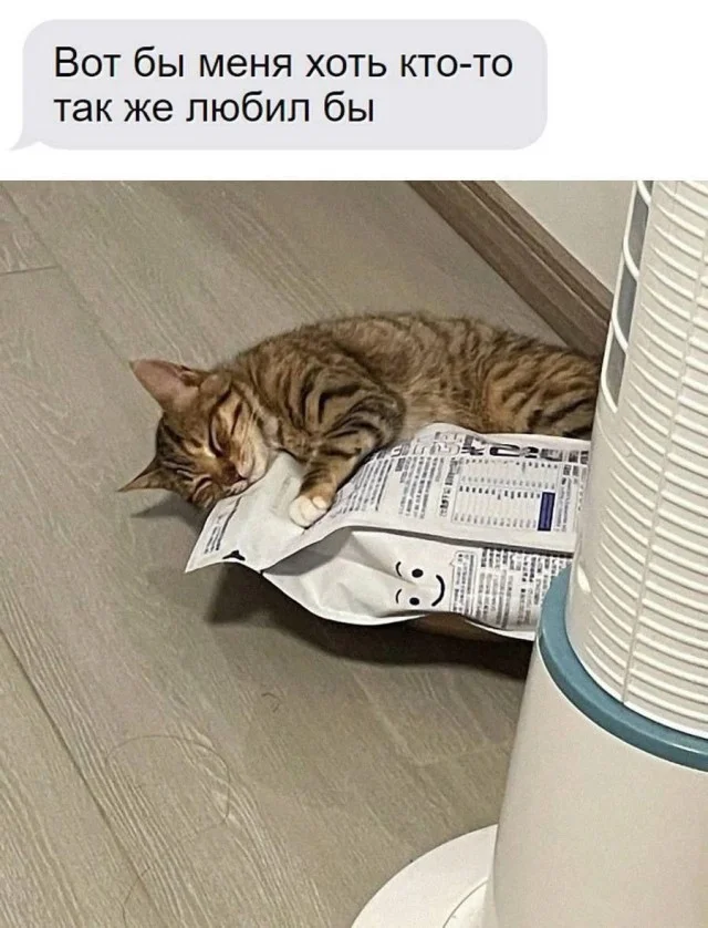 Мема-градия в баянах