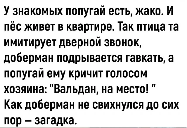 Классное настроение в мемах