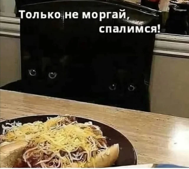 Классное настроение в мемах