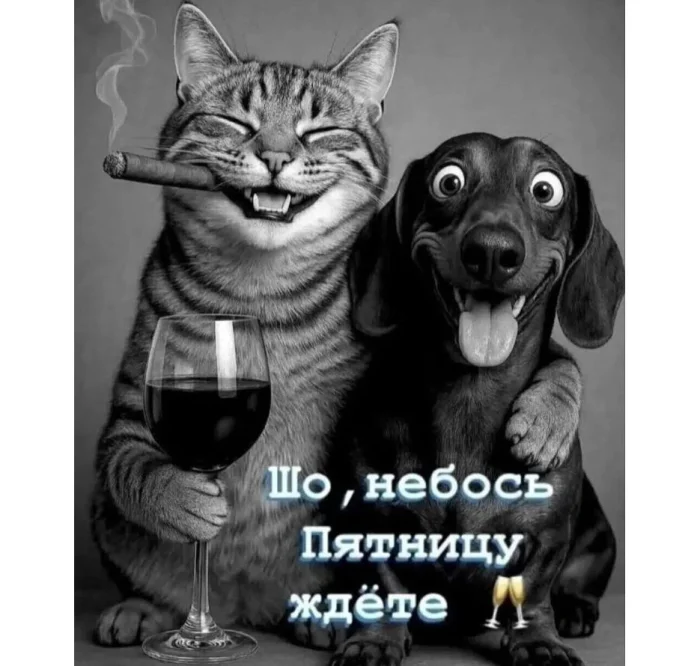 Прикольные и просто красивые картинки